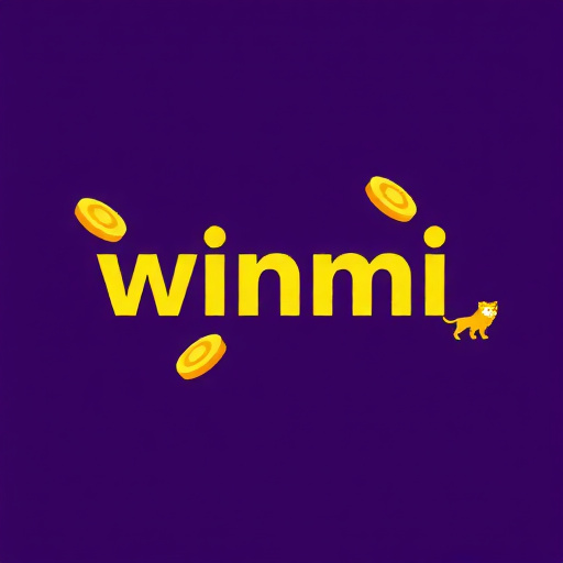 Review winmi: Como Se Compara aos Concorrentes
